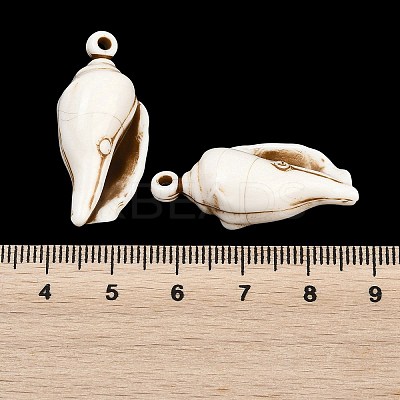 Spray Painted Opaque Acrylic Pendants ACRP-F003-03I-1