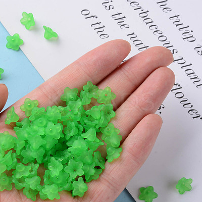Transparent Acrylic Beads X-PL554-13-1