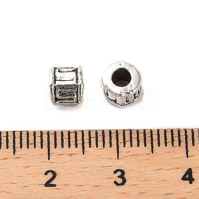 Tibetan Style Alloy Beads FIND-C043-021AS-1