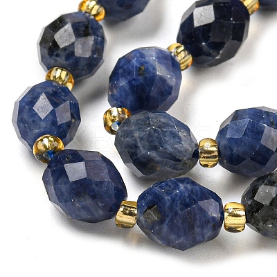 Natural Sodalite Beads Strands G-N342-37-1