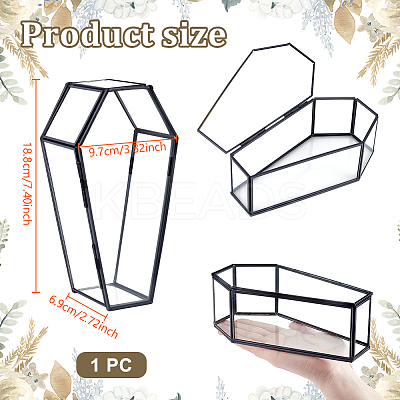 Coffin Brass Glass Decoration Box AJEW-WH0816-068-1