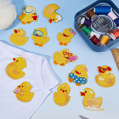 12Pcs Computerized Embroidery Polyester Iron on/Sew on Patches PATC-WH0003-60B-1