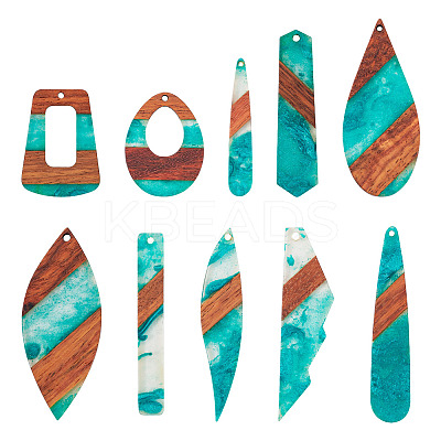 20Pcs 10 Styles Transparent Resin & Walnut Wood Big Pendants RESI-TA0003-17-1