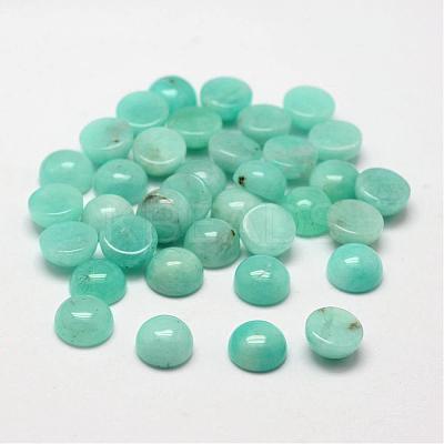 Dome/Half Round Natural Amazonite Cabochons G-O146-02C-1