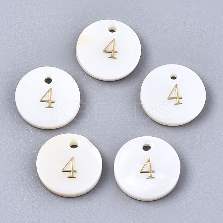 Natural Freshwater Shell Charms SHEL-Q023-04-1