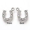 Tibetan Style Alloy Charms LS-X-TIBEP-T002-81AS-RS-1