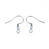 304 Stainless Steel Earring Hooks STAS-S057-63B-2