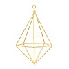 Iron Plant Hangers X-IFIN-N012-02G-2