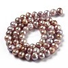 Natural Cultured Freshwater Pearl Beads Strands PEAR-L033-05B-01-3