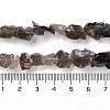 Raw Rough Natural Smoky Quartz Beads Strands G-B065-C17-5