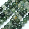 Natural Moss Agate Beads Strands X-G-I199-06-6mm-1