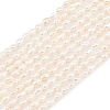 Natural Cultured Freshwater Pearl Beads Strands PEAR-F020-07-2