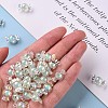 Transparent Acrylic Beads TACR-S152-03B-SS2111-5