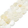 Natural White Moonstone Beads Strands G-K245-K01-01-1