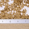 MIYUKI Delica Beads SEED-X0054-DB0181-4