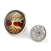 Round Glass Brooches LS-JEWB-A022-02G-2