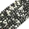 Natural Australia Zebra Jasper Beads Strands G-P573-A51-01-2
