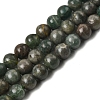 Natural Green Apatite Beads Strands G-K350-C04-8mm-2