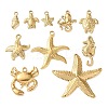 10Pcs Ocean Theme 304 Stainless Steel Pendants STAS-P426-04G-1