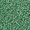 MIYUKI Delica Beads X-SEED-J020-DB0877-3