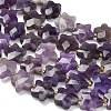 Natural Amethyst Beads Strands G-L657-A08-01-4