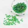 6/0 Transparent Rainbow Colours Round Glass Seed Beads X-SEED-A007-4mm-167-1
