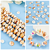   5 Strands  Natural Shell Beads Strands SSHEL-PH0001-17-4