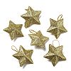Plastic Glitter Star Pendant Decorations LS-KY-D019-01B-1