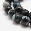 Faceted Natural Fire Crackle Agate Beads Strands G-F447-10mm-A14-3