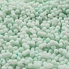 Macaron Color Opaque Frosted Glass Seed Beads X1-SEED-K009-12B-07-3