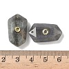 Natural Labradorite Faceted Pendants G-B151-02G-3