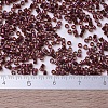 MIYUKI Delica Beads SEED-J020-DB0120-4
