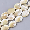 Natural Trochid Shell/Trochus Shell Beads Strands SHEL-T013-006A-01-1