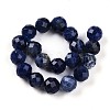 Natural Sodalite Beads Strands G-S345-10mm-26-3