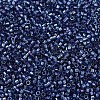 MIYUKI Delica Beads X-SEED-J020-DB2386-3