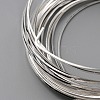 Copper Craft Wire CWIR-WH0016-06C-S-2