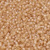 MIYUKI Delica Beads X-SEED-J020-DB0852-3