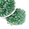 Picasso Transparent Glass Beads SEED-Q039-04F-1
