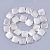 Shell Pearl Beads Strands X-SSHEL-T011-04A-2