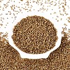 Glass Seed Beads SEED-S042-04B-16-2