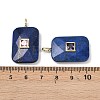Dyed Natural Lapis Lazuli Pendants G-I391-03G-08-3