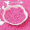 6/0 Opaque Baking Paint Glass Seed Beads SEED-M012-02A-22-2