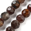 Natural Petrified Wood Beads Strands G-C150-B01-01-2