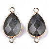 Natural Labradorite Links Connectors G-T131-49F-2
