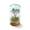 Syntheticl Crackle Turquoise Chips Money Tree in Dome Glass Bell Jars with Wood Base Display Decorations DJEW-K030-02G-1