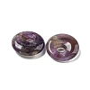 Natural Amethyst Donut/Pi Disc Charms G-G142-02L-2