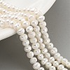 Natural Cultured Freshwater Pearl Beads Strands PEAR-C003-08A-1