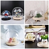 High Borosilicate Glass Cloche Globe Display Dome ODIS-F007-01A-4