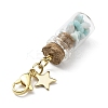 Natural Amazonite Chip inside Glass Wishing Bottle Pendant Decoration HJEW-JM03130-01-4