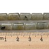 Natural Labradorite Beads Strands G-M420-E01-03-5